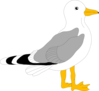 Cartoon Seagull Clip Art